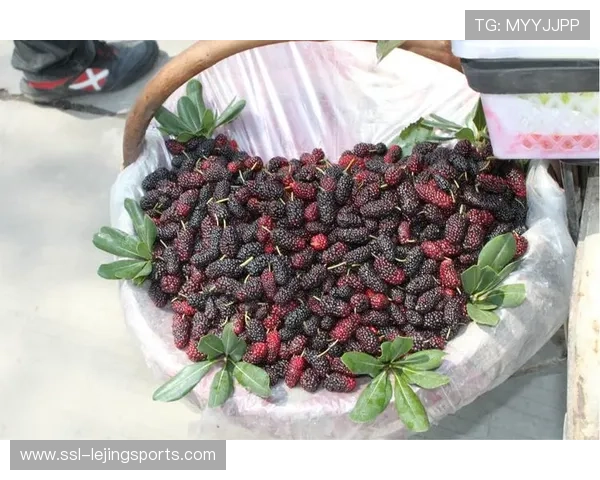 昆明西山飞盘大赛雨中激战，选手热情不减